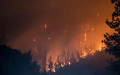 Will Virtual Reality Save the Planet?