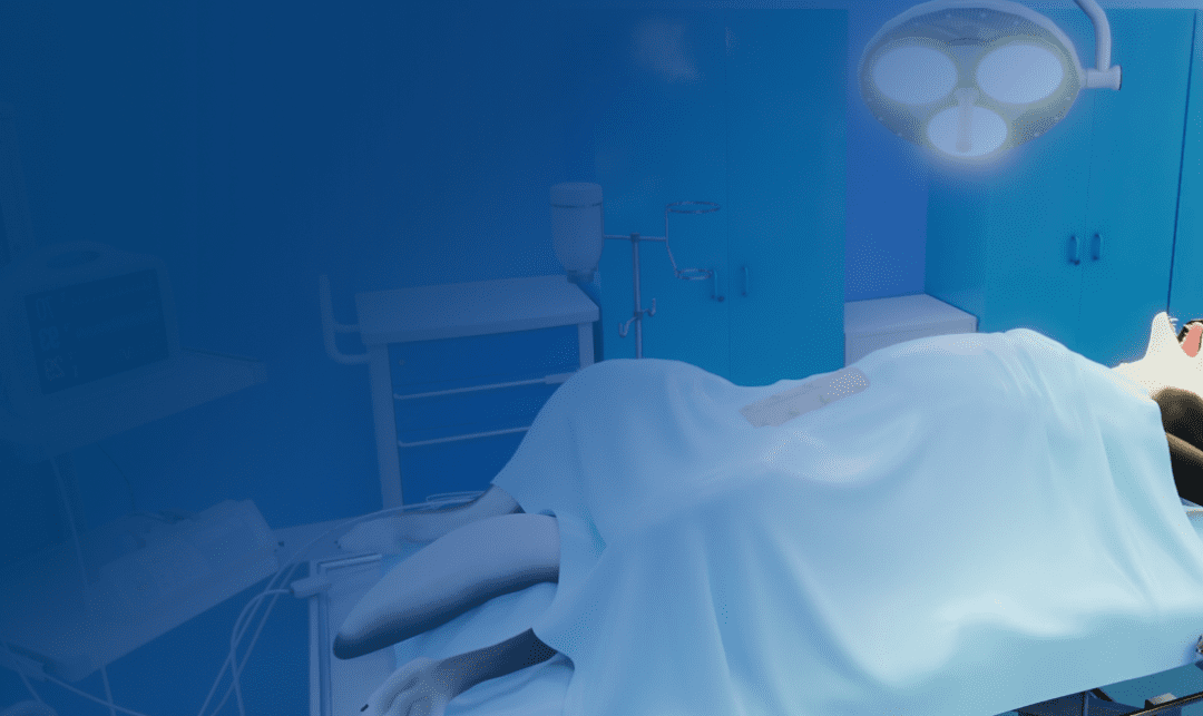 VR training for vet students