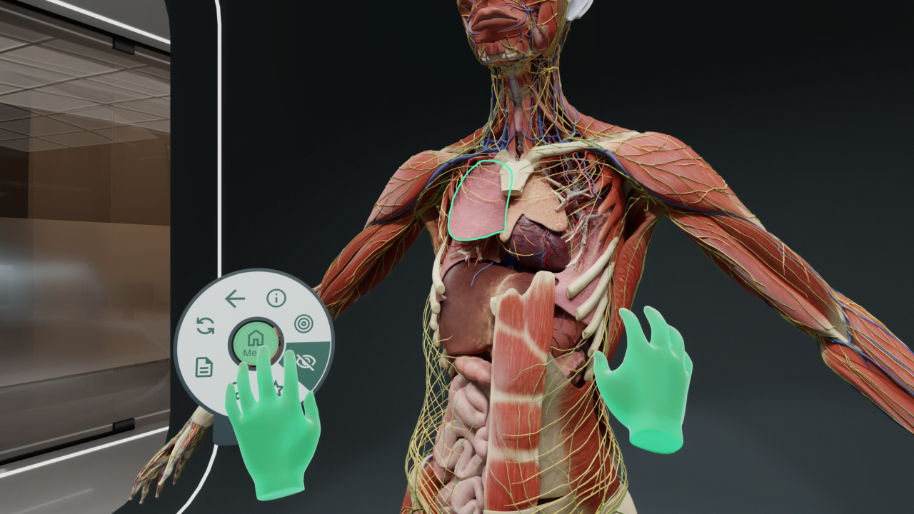 Real Body Simulator VR human anatomical simulator